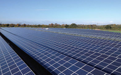Una por una, las compañías de paneles solares, inversores y baterías que dominan el mercado en México