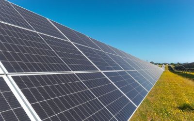 Llegó hasta los 915 MW solares. European Energy avanza con dos plantas fotovoltaicas tras recibir DIAs positiva