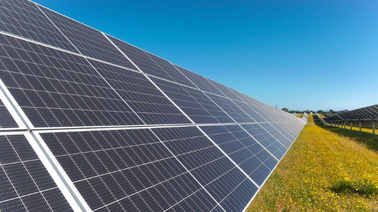 Llegó hasta los 915 MW solares. European Energy avanza con dos plantas fotovoltaicas tras recibir DIAs positiva