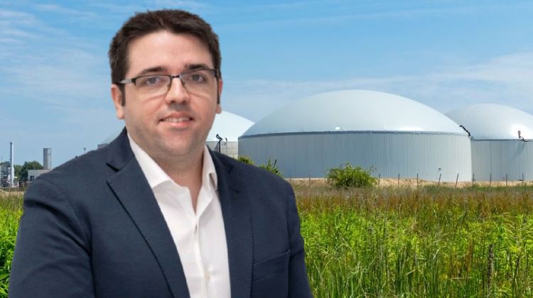 Análisis. El potencial del biogás en España: una ruta con desafíos en la pequeña y gran escala