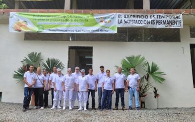 LONGi apuesta por proyecto de agro-voltaica para disminuir la pobreza energética en Colombia